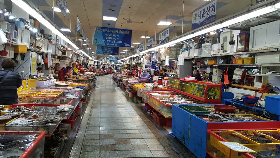 Jagalchi Fish Market (Nampo, Busan) & getting there KoreaToDo